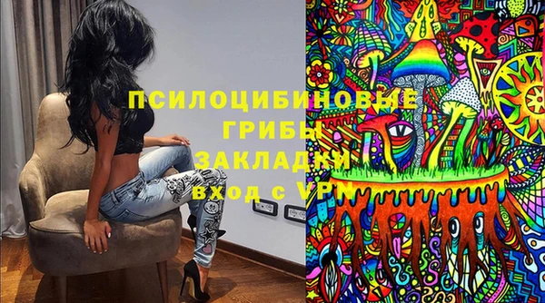 прущая мука Ельня