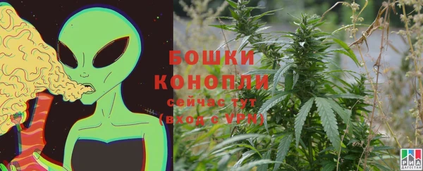 прущая мука Ельня