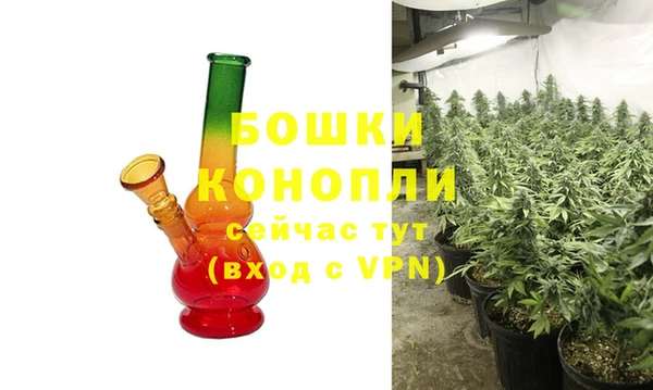 прущая мука Ельня